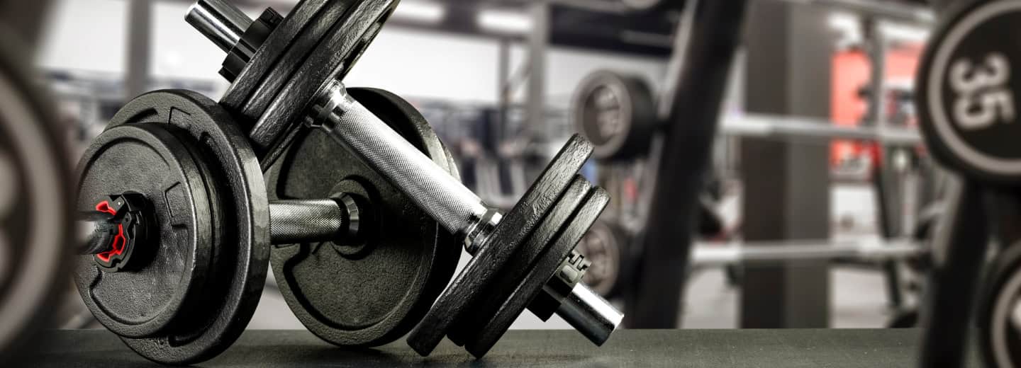 Two black dumbbells on a gym bench at a hotel fitness center, with blurred equipment in the background for travelers to stay fit.